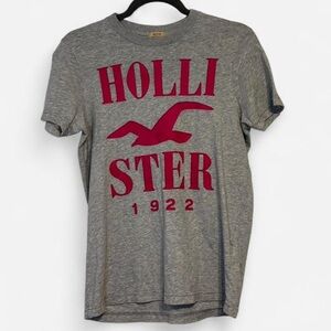 Sold Hollister Gray Tee with Pink Logo